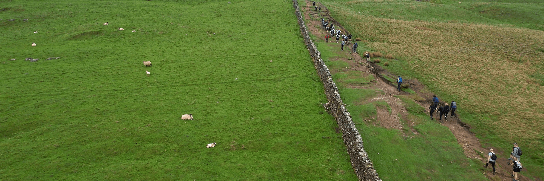 A long stone wall stretches straight across a wide, green landscape. On the right side of the wall, a line of walkers follows a dirt path. On the left, sheep graze on the open grassy field. The sky is overcast and the terrain is gently rolling.